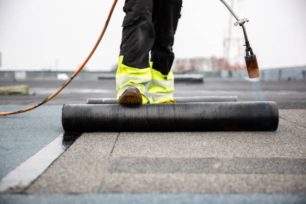 Best Steel Roofing  in Brandenburg, KY